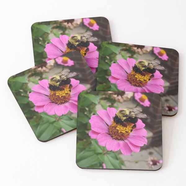 Item preview, Sidewalk Zinnia with Bumblebee designed and sold by concretebotany.