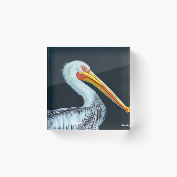 Item preview, Aruba Pelican Bird Illustration designed and sold by Tirsot.