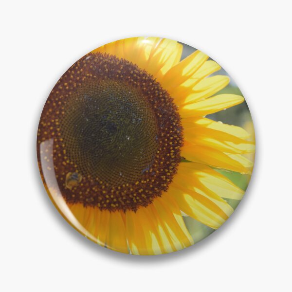 Item preview, Horizontal sunflower designed and sold by ecureuil.