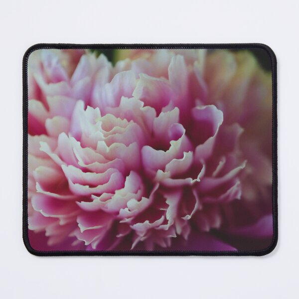 Item preview, Peony bloom designed and sold by ecureuil.