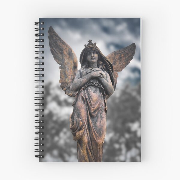 Item preview, Angel statue at Vyšehrad Cemetery in Prague, Czech Republic designed and sold by RastislavS.