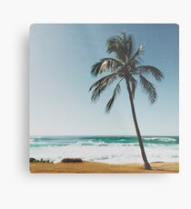 Lienzo metálico Palmera en la playa