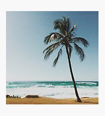 Palme am Strand Fotodruck