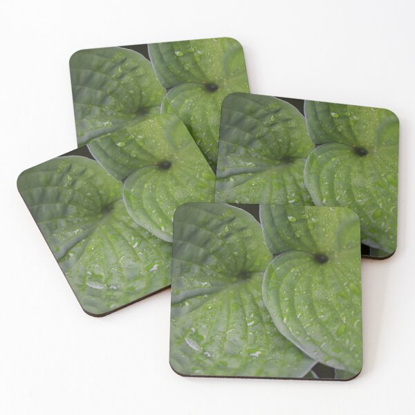 Item preview, Hosta after the rain designed and sold by ecureuil.