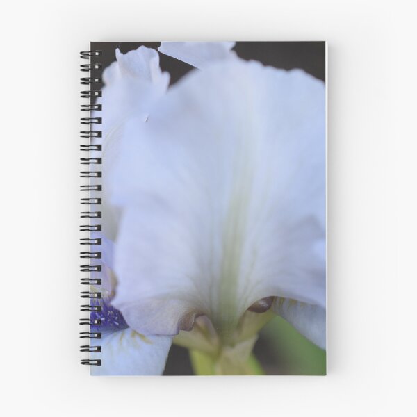 Item preview, Light iris designed and sold by ecureuil.