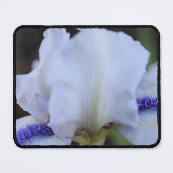 Item preview, Light iris designed and sold by ecureuil.