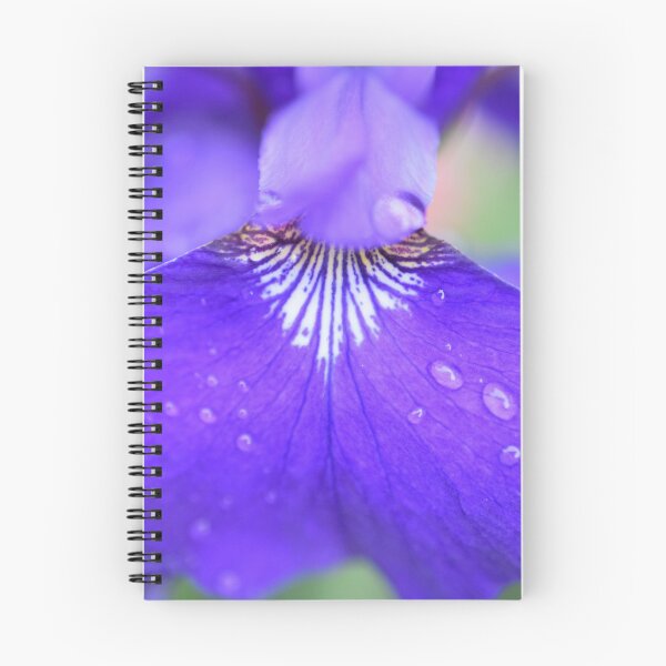 Item preview, Purple iris petal designed and sold by ecureuil.