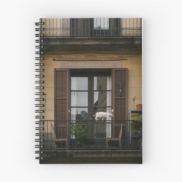 Item preview, Gato - Spanish Cat Street Photography designed and sold by cortmcnamaraart.