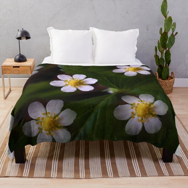 Item preview, Strawberry flowers on the background of green leaves close-up designed and sold by IgorKovalenko.