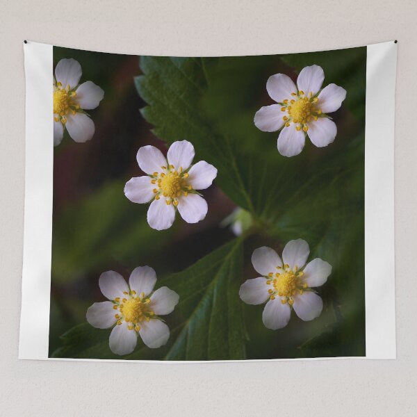Item preview, Strawberry flowers on the background of green leaves close-up designed and sold by IgorKovalenko.