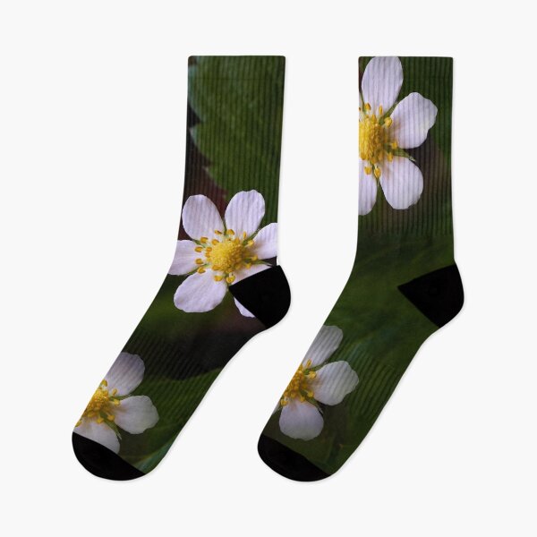 Item preview, Strawberry flowers on the background of green leaves close-up designed and sold by IgorKovalenko.