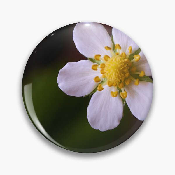 Item preview, Strawberry flowers on the background of green leaves close-up designed and sold by IgorKovalenko.