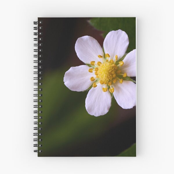 Item preview, Strawberry flowers on the background of green leaves close-up designed and sold by IgorKovalenko.