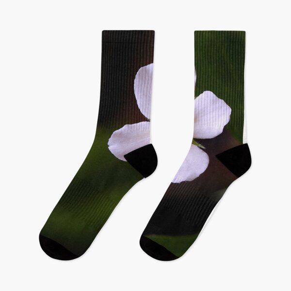 Item preview, Strawberry flowers on the background of green leaves close-up designed and sold by IgorKovalenko.
