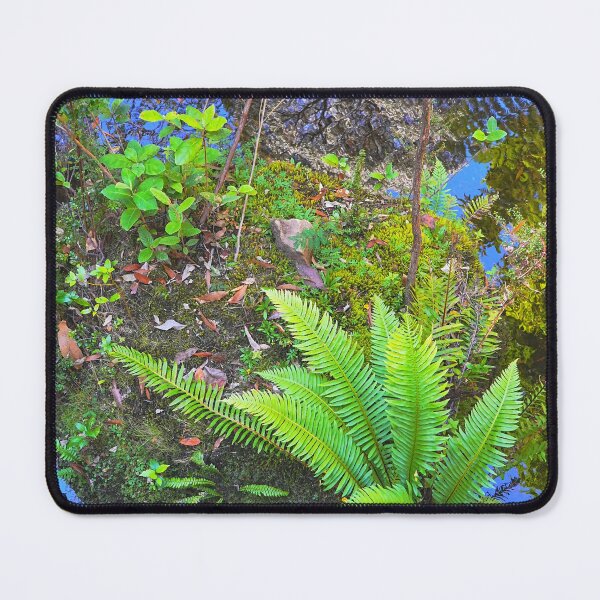 Item preview, Forest Stream, MT Field NP, Tasmania designed and sold by Harry Oldmeadow.