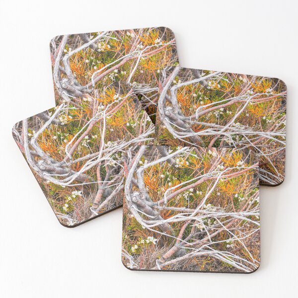 Item preview, Flora, MT Field NP, Tasmania designed and sold by Harry Oldmeadow.