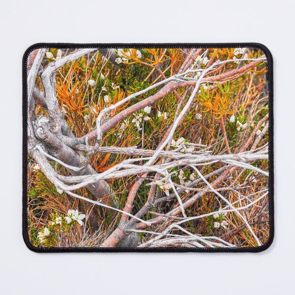 Item preview, Flora, MT Field NP, Tasmania designed and sold by Harry Oldmeadow.