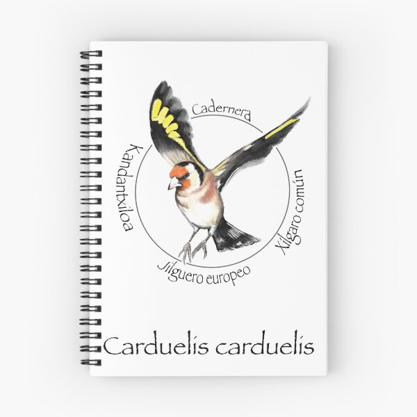 Item preview, Carduelis carduelis designed and sold by Helenart-D.
