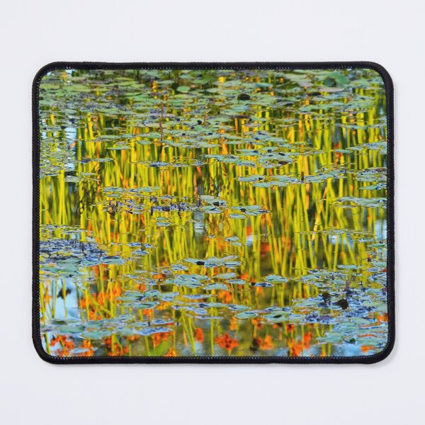 Item preview, Bendigo Botanical Gardens designed and sold by Harry Oldmeadow.