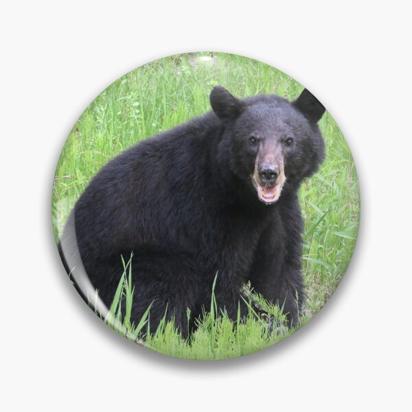 Item preview, American Black Bear In Green Grass Wildlife Nature Photography designed and sold by TripleMoonCrafts.