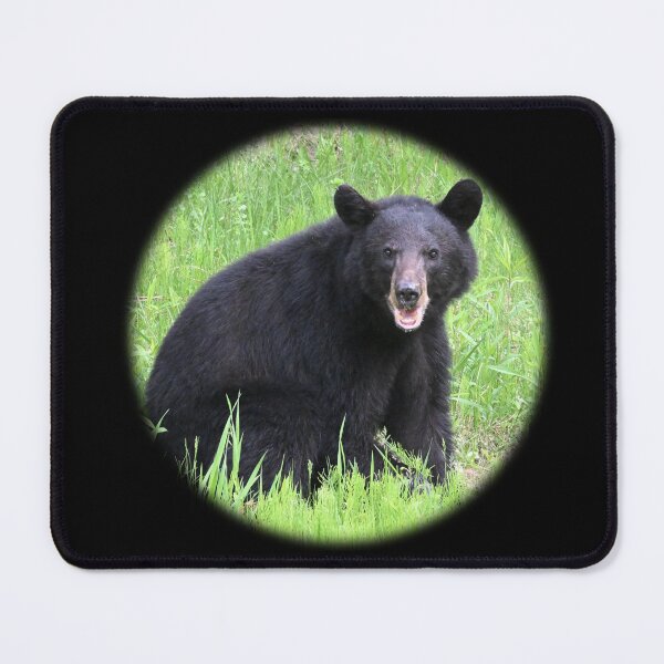 Item preview, American Black Bear In Green Grass Wildlife Nature Photography designed and sold by TripleMoonCrafts.