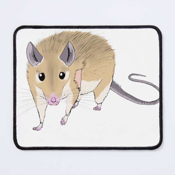 Item preview, spiny mouse designed and sold by LORDWOLFOFTHEWOODS-WORKS.