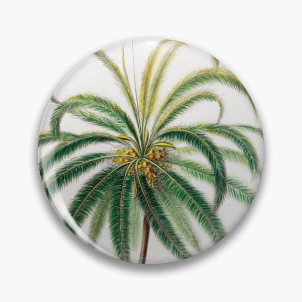 Item preview, Vintage Coconut Tree Botanical Art • Flore d’Amérique (1843) • Étienne Denisse designed and sold by Mermaid's Treasure.