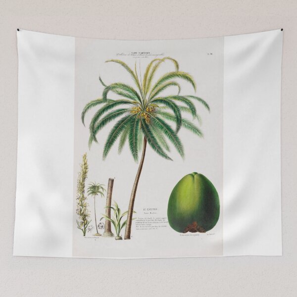 Item preview, Vintage Coconut Tree Botanical Art • Flore d’Amérique (1843) • Étienne Denisse designed and sold by Mermaid's Treasure.