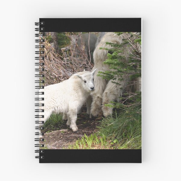 Item preview, Cute Baby Mountain Goat Following Mom designed and sold by CarolM.