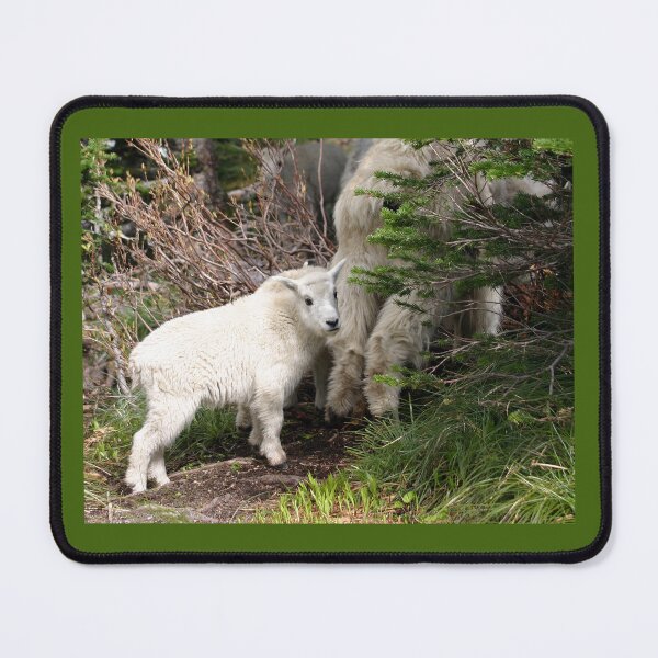 Item preview, Cute Baby Mountain Goat Following Mom designed and sold by CarolM.