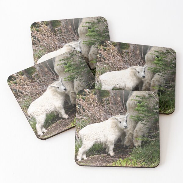 Item preview, Cute Baby Mountain Goat Following Mom designed and sold by CarolM.