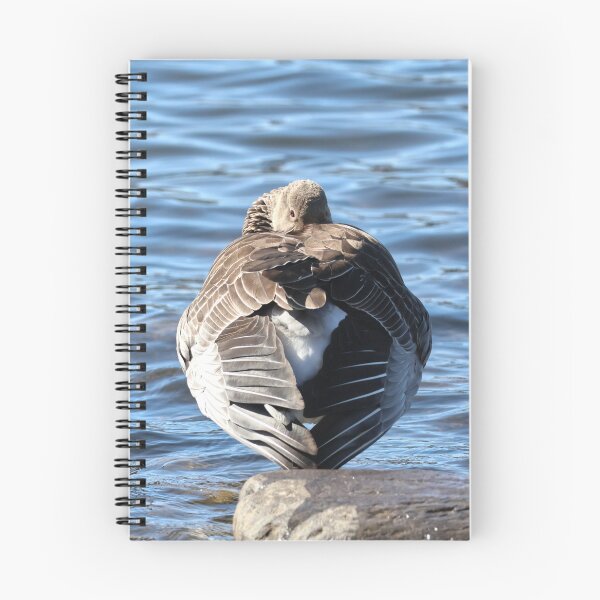 Item preview, Graylag goose designed and sold by Marju Rose.