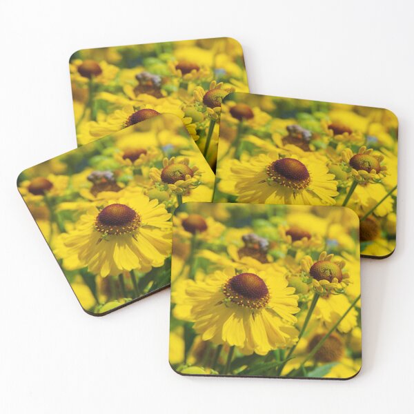 Item preview, Vibrant Black-eyed Susan designed and sold by Kasia Design.