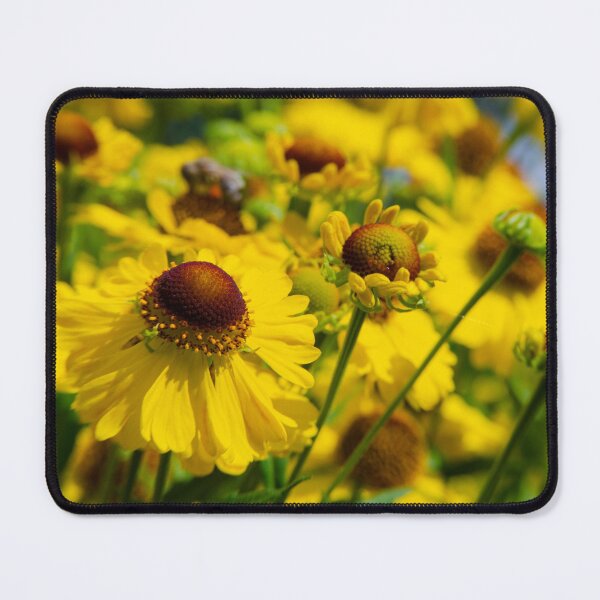 Item preview, Vibrant Black-eyed Susan designed and sold by Kasia Design.