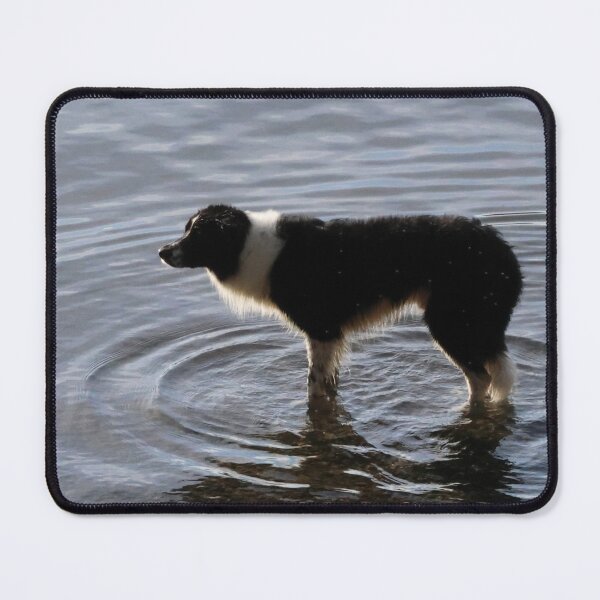 Item preview, Border collie designed and sold by Marju Rose.