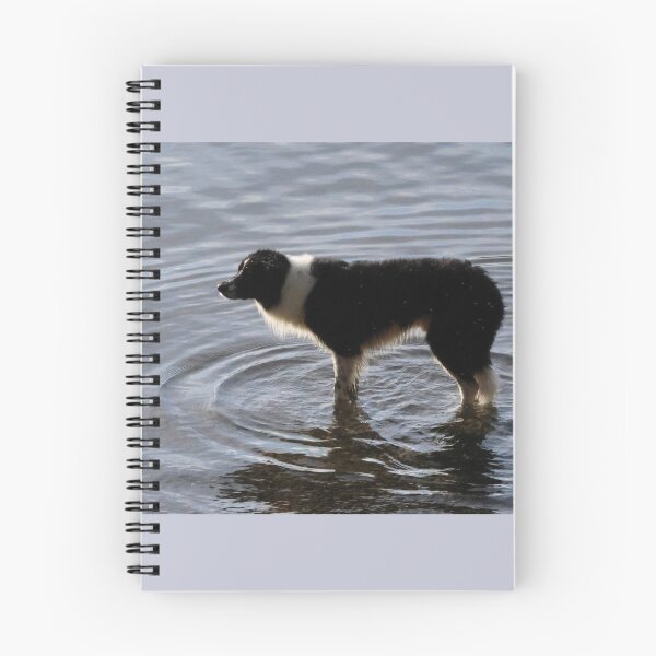 Item preview, Border collie designed and sold by Marju Rose.
