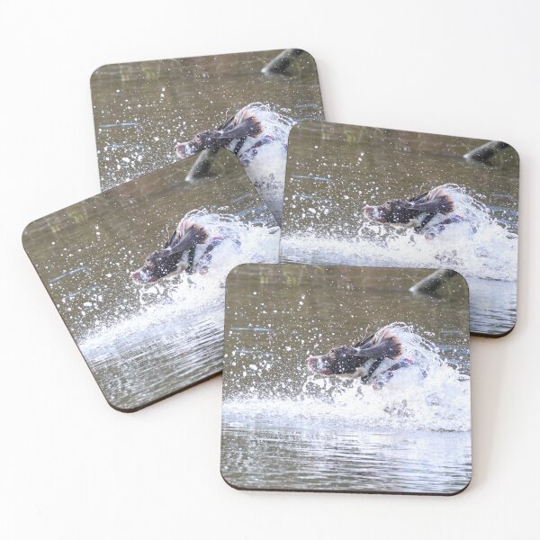Item preview, Springer spaniel designed and sold by Marju Rose.