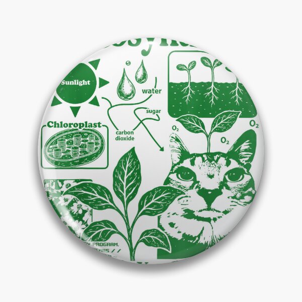 Item preview, Photosynthesis Brought to You By The Sun Funny Science Cat T-Shirt designed and sold by LoveyBug78.