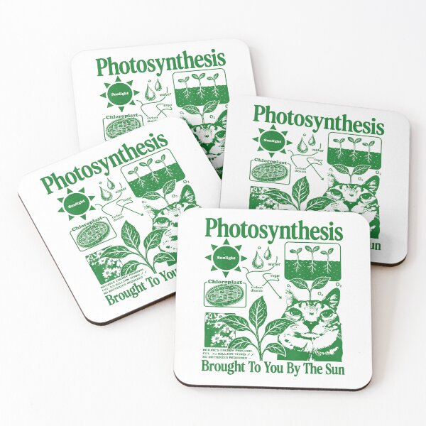 Item preview, Photosynthesis Brought to You By The Sun Funny Science Cat T-Shirt designed and sold by LoveyBug78.