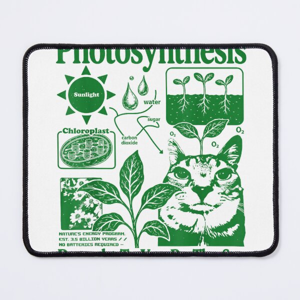 Item preview, Photosynthesis Brought to You By The Sun Funny Science Cat T-Shirt designed and sold by LoveyBug78.
