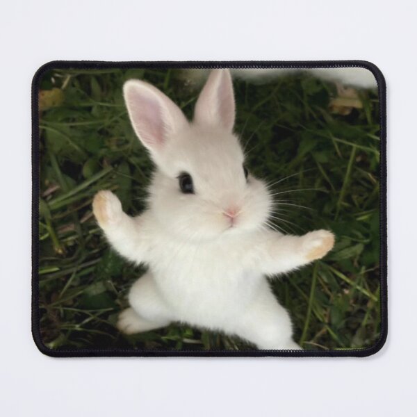 Item preview, Happy The Cheesecake Factory aBunny Picnic designed and sold by Heerwhiteshirt.
