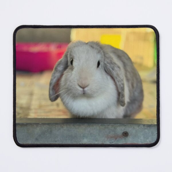 Item preview, Elegant Ashley McBryde Bunny Portrait designed and sold by Heerwhiteshirt.