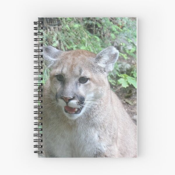Item preview, cougar designed and sold by Digital2dreams.