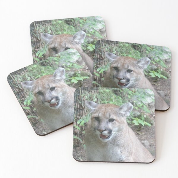 Item preview, cougar designed and sold by Digital2dreams.