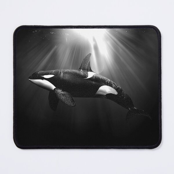 Item preview, Orca Killer Whale Underwater Ocean Wildlife Monochrome Art designed and sold by inkoutninja.