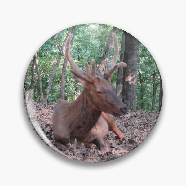 Item preview, Elk designed and sold by GoobsPhotoCo.