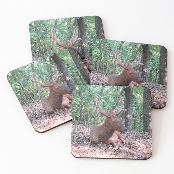 Item preview, Elk designed and sold by GoobsPhotoCo.