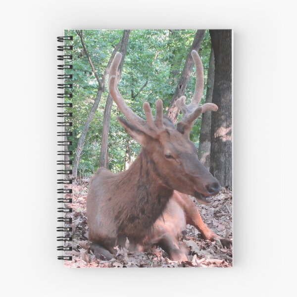 Item preview, Elk designed and sold by GoobsPhotoCo.
