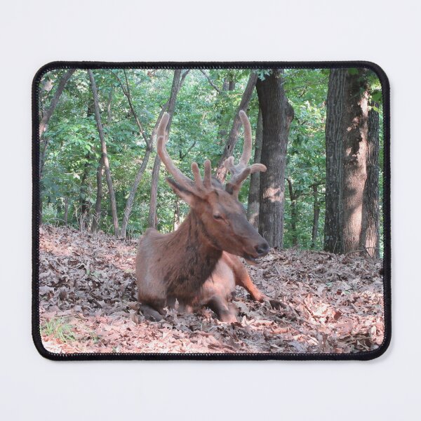 Item preview, Alce designed and sold by TurtlesPhotoCo.