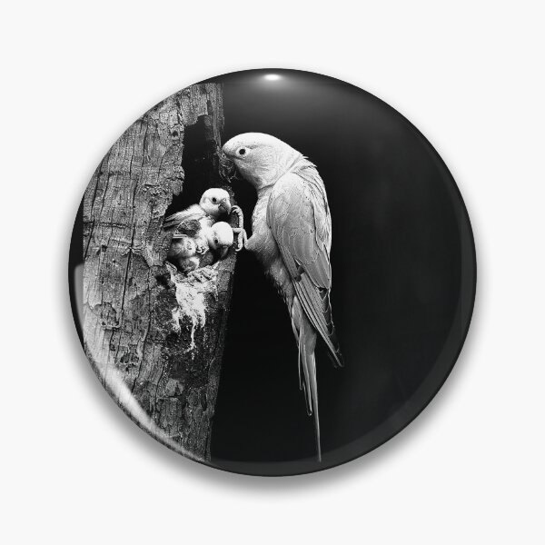 Item preview, Parrot Family Tree Nest Tropical Bird Wildlife Art designed and sold by inkoutninja.